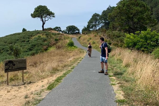 Cathedral Cove and Hot Water Beach Scenic Day Tour from Auckland - Timing and pacing: how this 11-hour day avoids the worst traps