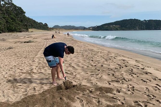 Cathedral Cove and Hot Water Beach Scenic Day Tour from Auckland - Price and value: why this can be worth $372.34