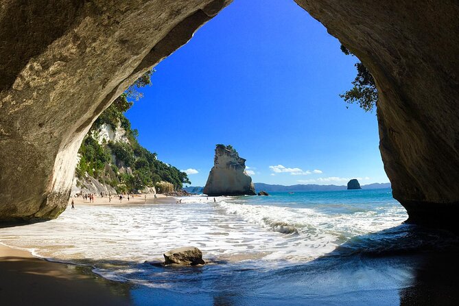 Cathedral Cove & Coromandel, Small-Group Tour from Auckland - Key Highlights That Matter on the Day