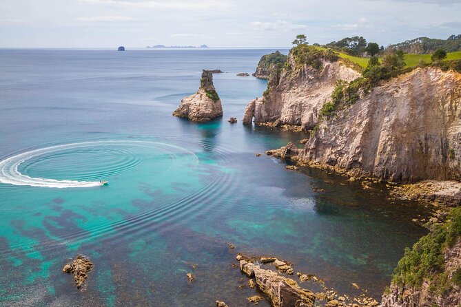 Cathedral Cove & Coromandel, Small-Group Tour from Auckland - Waikato Farm Country En Route to the Coromandel