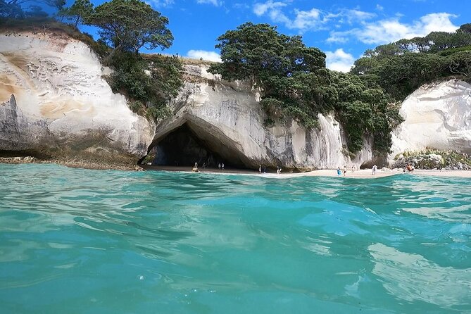 Cathedral Cove & Coromandel, Small-Group Tour from Auckland - Cathedral Cove Walk: Iconic Views, Uneven Terrain, Real Fitness Test