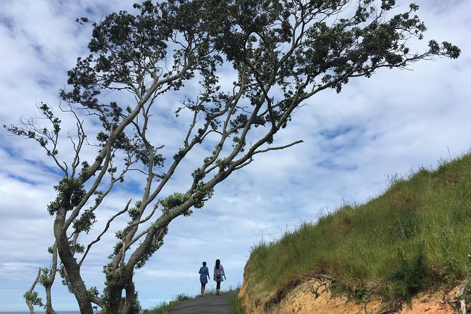 Cathedral Cove Day Trip from Auckland - Key things that make this day trip click