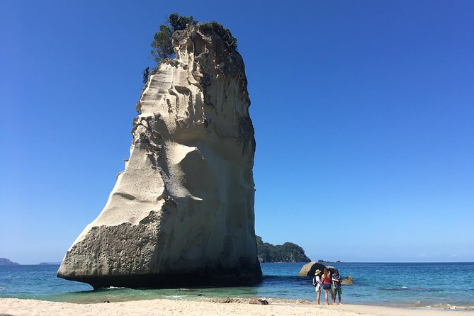 Cathedral Cove Day Trip from Auckland - Why This Auckland-to-Coromandel Route Works as a Day Trip