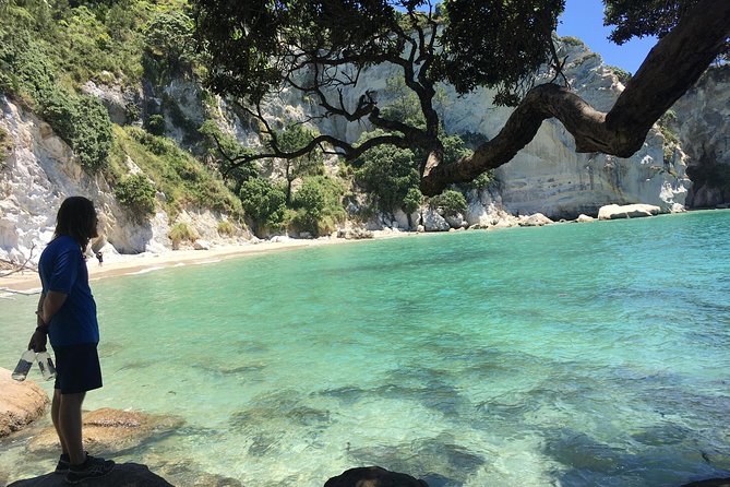 Cathedral Cove Day Trip from Auckland - Cathedral Cove Walk Through Te Whanganui-A-Hei Marine Reserve