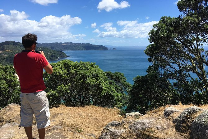 Cathedral Cove Day Trip from Auckland - The Guided Commentary That Makes the Scenery Stick