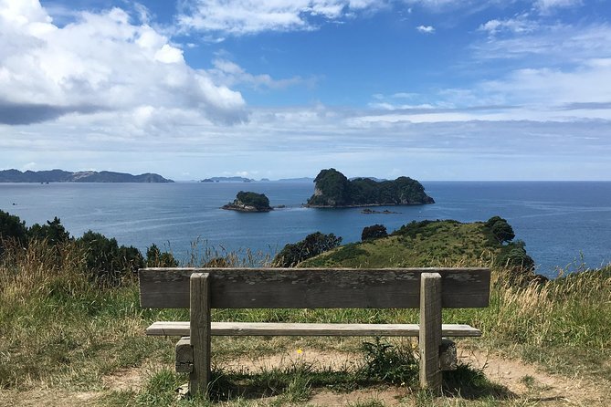 Cathedral Cove Day Trip from Auckland - Transportation Comfort: Minibus, Pickup, and a Relaxed Schedule