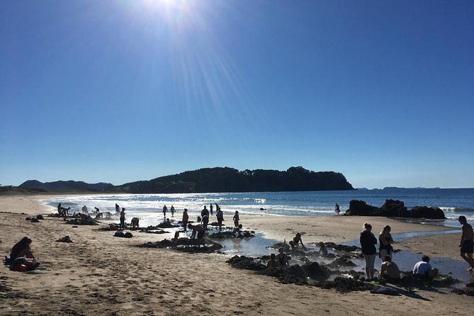 Cathedral Cove Day Trip from Auckland - Pace and Weather Reality Check