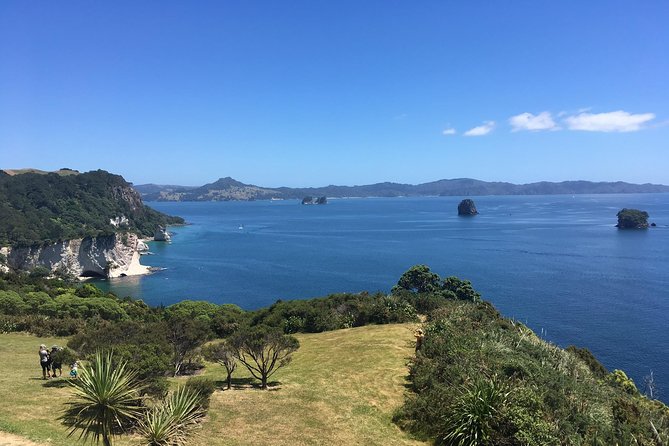 Cathedral Cove Day Trip from Auckland - Price and Value: Is $242.02 per person Good for What You Get?