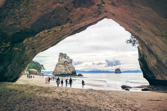 Cathedral Cove Day Trip from Auckland - Hot Water Beach: Feet-in-Spring Fun and Shoe Tips