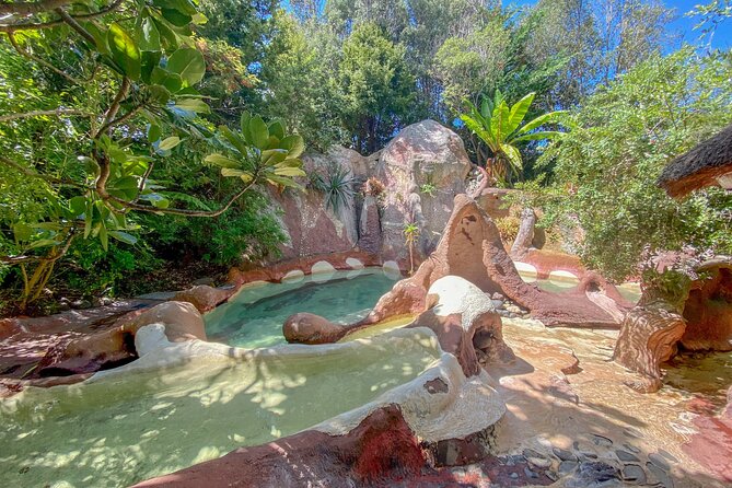 Cathedral Cove with the Lost Spring Hidden Spa - Getting Set Up in Auckland: Pickup and the Start Time Window