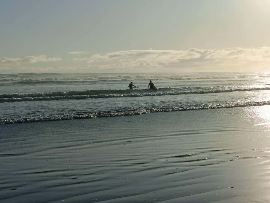 “City & Coast & Country” – A Relaxed Day Tour from Auckland - Key points to know before you go