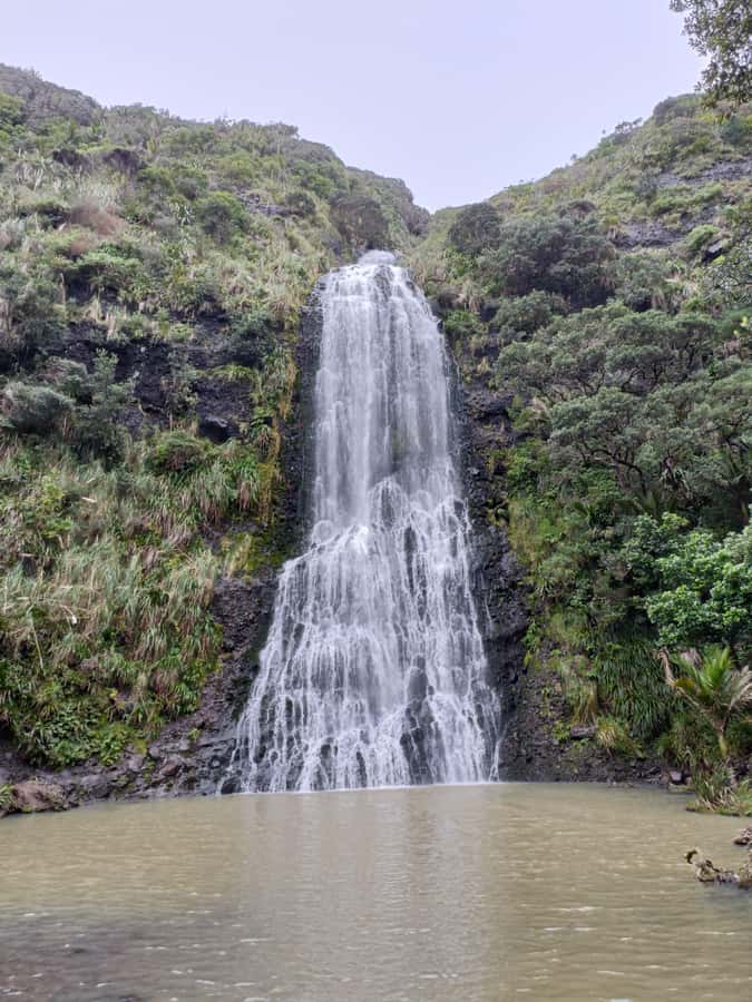 “City & Coast & Country” – A Relaxed Day Tour from Auckland - The smart idea: City, country, and coast without the rental-car hassle