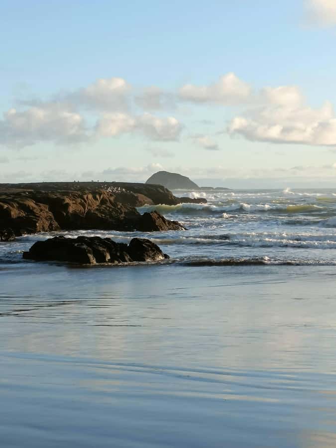 “City & Coast & Country” – A Relaxed Day Tour from Auckland - Karekare Falls: short walk, big vertical drama