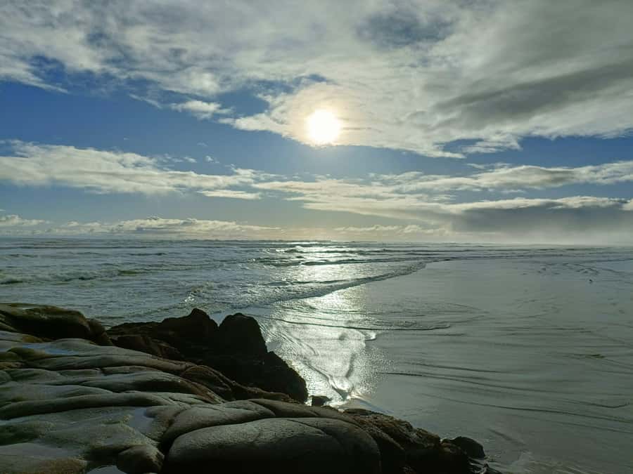 “City & Coast & Country” – A Relaxed Day Tour from Auckland - Timing and walking levels: why this feels relaxed (but still requires prep)