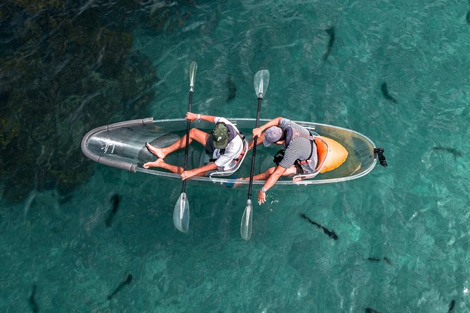 Clearyak hire at Goat Island Marine Reserve - Key points worth knowing before you book
