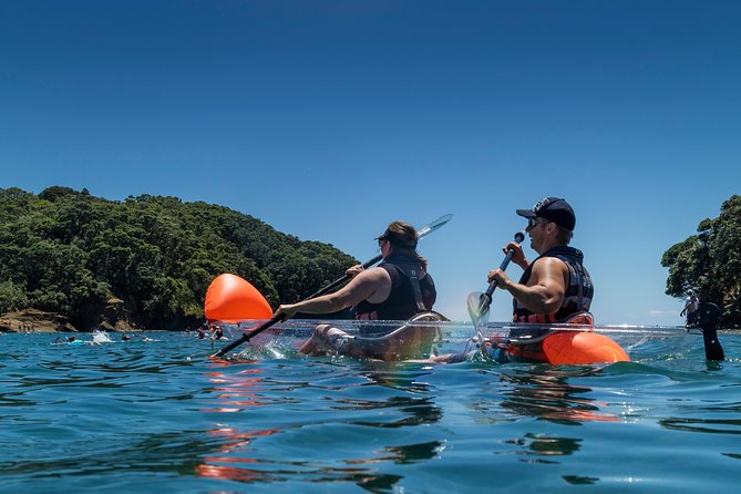 Clearyak hire at Goat Island Marine Reserve - First-timer friendly instruction and what you’ll learn fast