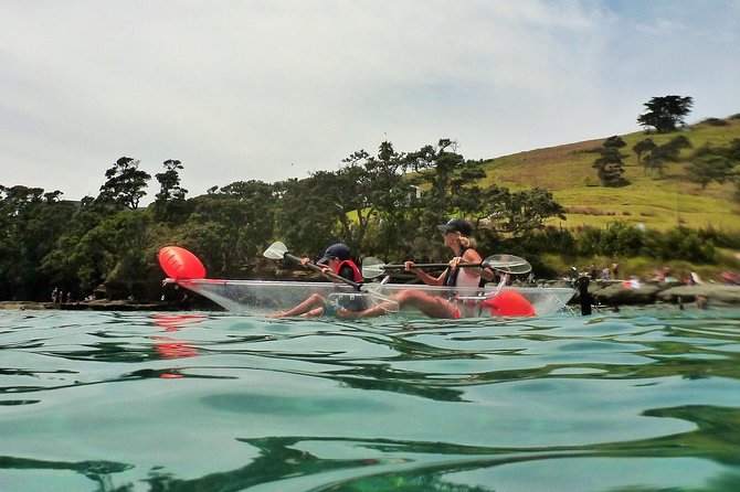 Clearyak hire at Goat Island Marine Reserve - Private hire comfort: no crowds, just your group