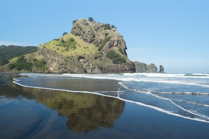 Coast and Rainforest Eco-Tour from Auckland with Picnic Lunch - Quick reasons to pick this Auckland eco-tour