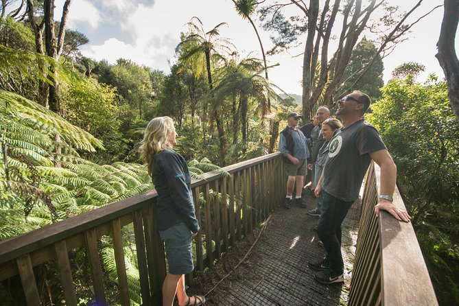 Coast and Rainforest Eco-Tour from Auckland with Picnic Lunch - Mercer Bay Loop cliffs: the sea views that make the photos worth it