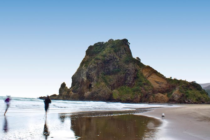 Coast and Rainforest Eco-Tour from Auckland with Picnic Lunch - Piha Beach black sand: where the day turns from forest to shoreline