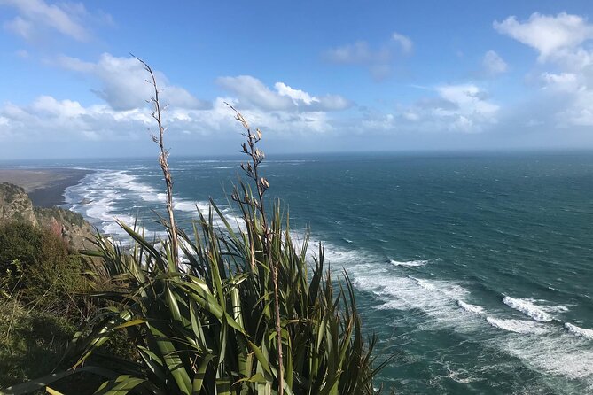 Coast and Rainforest Eco-Tour from Auckland with Picnic Lunch - How hard is this tour, really?