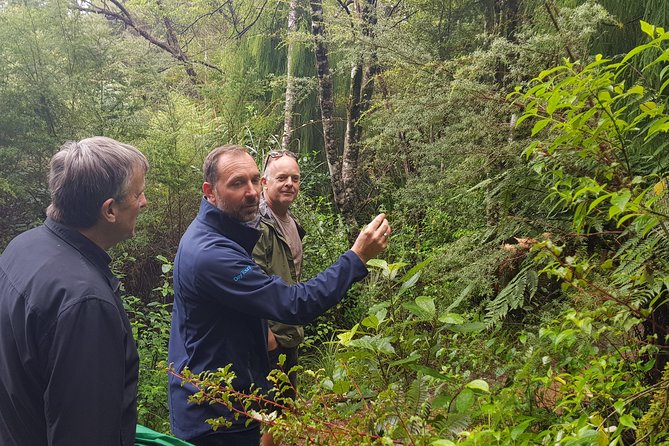 Coast and Rainforest Eco-Tour from Auckland with Picnic Lunch - Arataki Visitor Centre: the quickest way to understand the coast and culture