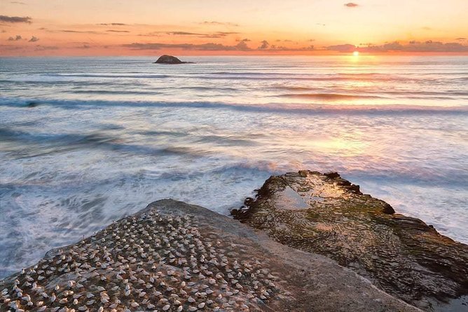Coast to Coast Private Eco Tour - Bastion Point (MJ Savage Memorial): views plus meaning