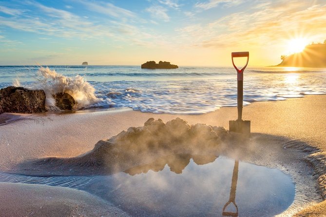 Coromandel Coastal Experience - Small Group Tour from Auckland - Key moments that make this tour work