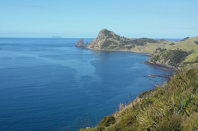 Coromandel Coastal Experience - Small Group Tour from Auckland - Cathedral Cove Marine Reserve walk: famous rocks, real time to swim