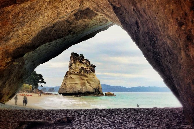 Coromandel Coastal Experience - Small Group Tour from Auckland - Hot Water Beach: dig, soak, and respect the tide
