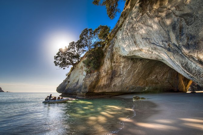 Coromandel Coastal Experience - Small Group Tour from Auckland - The Coromandel day’s pace: short walks, real time outdoors