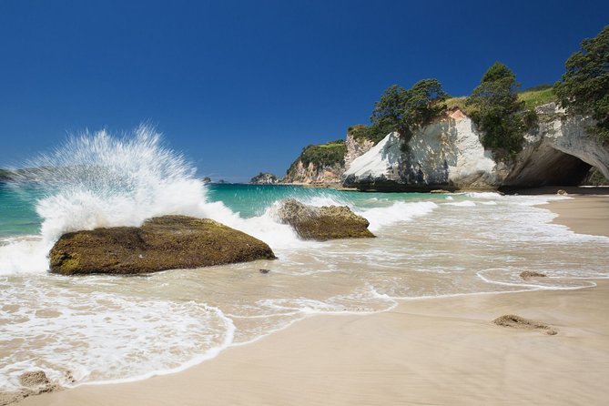 Coromandel Coastal Experience - Small Group Tour from Auckland - Where the value really shows: pickup, guide, and included access