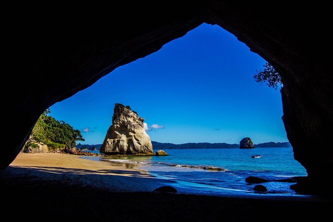 Coromandel Coastal Experience - Small Group Tour from Auckland - Morning pickup and the route past Auckland’s Bombay Hills