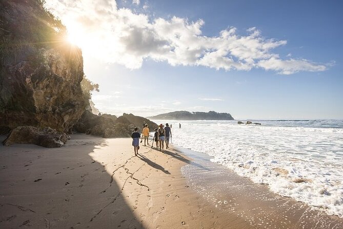 Coromandel Day Tour From Auckland - One Early Start From Auckland City Center