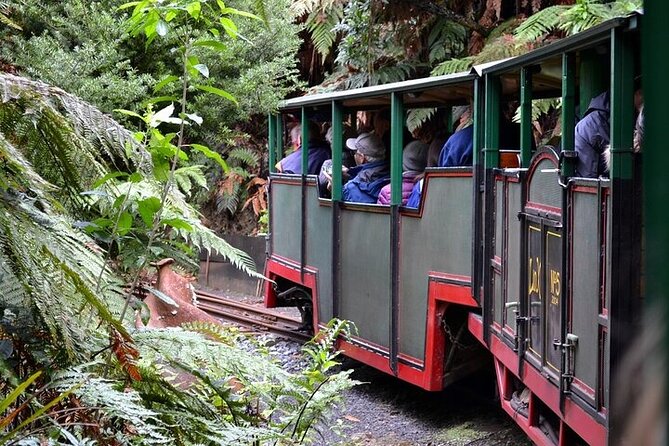 Coromandel Day Tour From Auckland - Hot Water Beach Thermal Pools: Digging, Timing, and Comfort