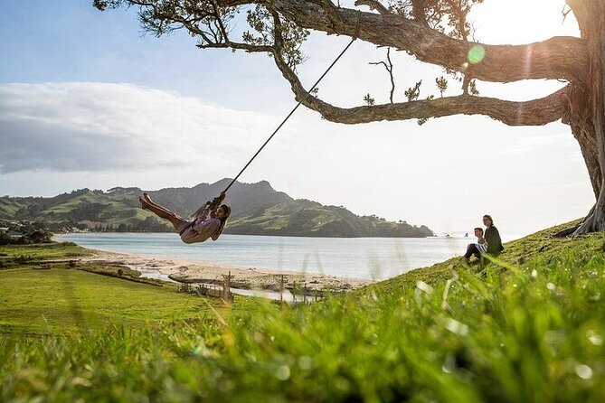 Coromandel Day Tour From Auckland - Who This Coromandel Day Tour Fits Best