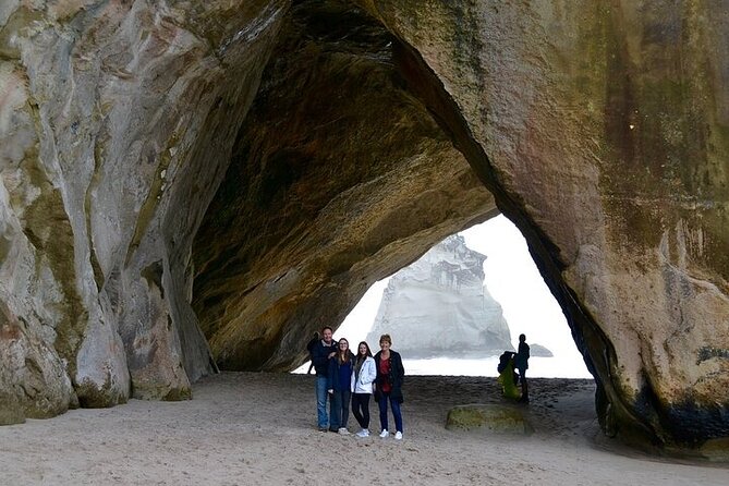 Coromandel Day Tour From Auckland - The Waikato-to-Coromandel Drive That Sets the Mood