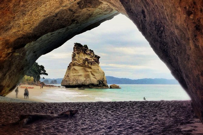 Coromandel Peninsula Discovery - Private Tour From Auckland - Hot Water Beach: where the hot tub is literally under your feet