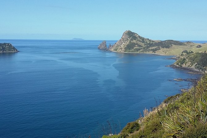 Coromandel Peninsula Discovery - Private Tour From Auckland - The lunch stop that keeps the day from dragging
