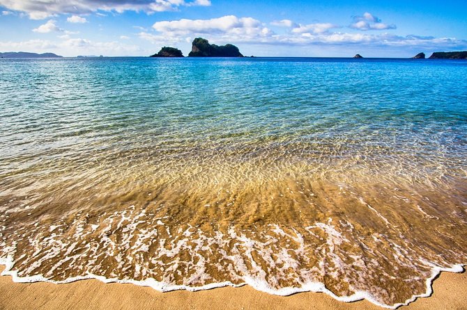 Coromandel Peninsula Discovery - Private Tour From Auckland - Price and value: is $650.98 per person worth it?