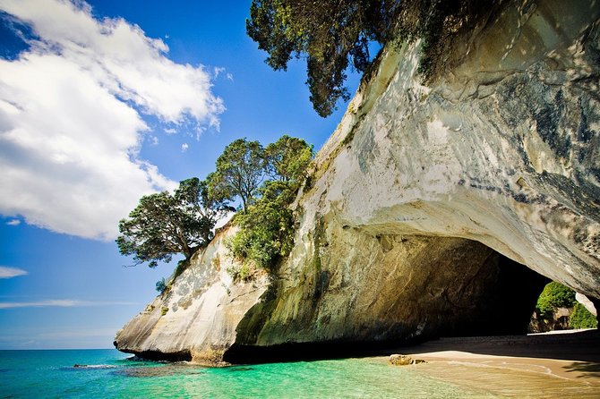 Coromandel Peninsula Discovery - Private Tour From Auckland - Getting there: Auckland pickup, Bombay Hills, and the morning rhythm