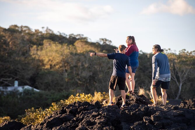 Day sea kayak tour Rangitoto Island - Rangitoto wharf and the summit hike: views worth the incline