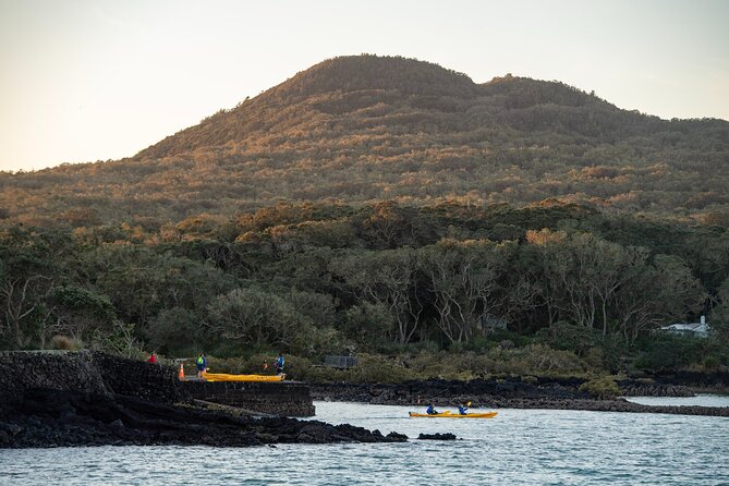 Day sea kayak tour Rangitoto Island - BBQ on Rangitoto: the meal that actually matters