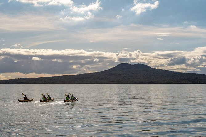 Day sea kayak tour Rangitoto Island - Pest-free island etiquette: the part you’ll notice before departure
