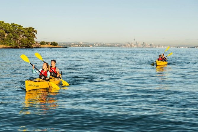 Day sea kayak tour Rangitoto Island - Value for money: what the $152.04 buys you