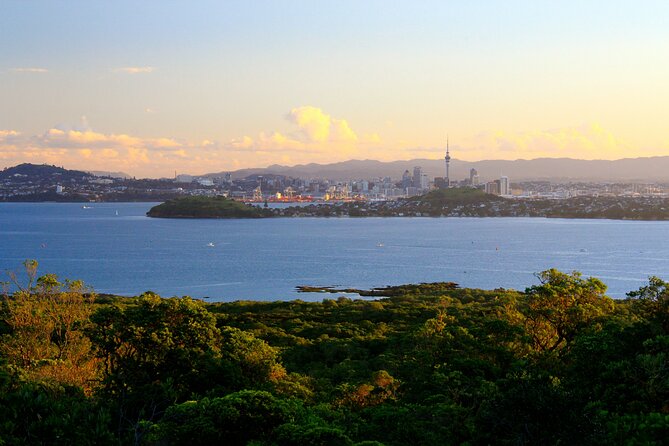 Day sea kayak tour Rangitoto Island - Waitematā Harbour paddling: what the workout feels like