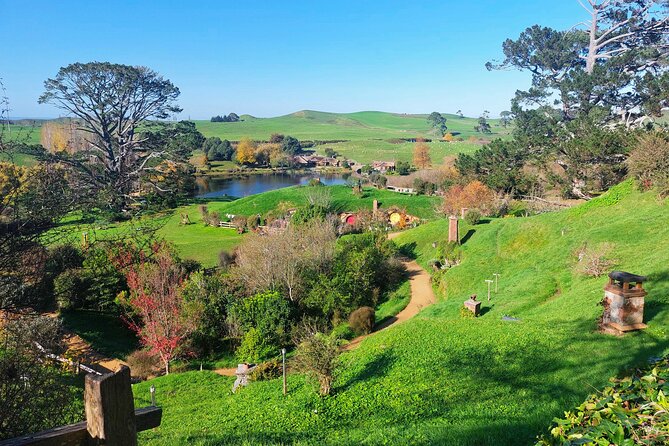 Day Tour Hobbiton + Rotorua from Auckland in Luxury Minibus - Te Puia: Lunch, Māori Arts, and Geothermal Rotorua Energy