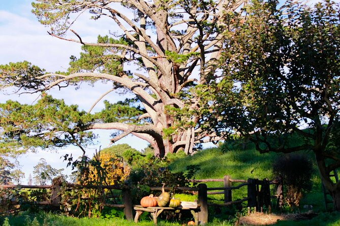 Day Tour Hobbiton + Rotorua from Auckland in Luxury Minibus - Lake Rotorua Sightseeing: What You Actually Get With One Hour