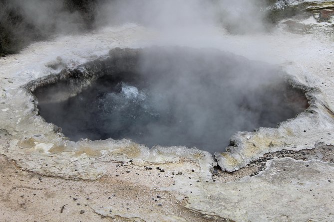 Day Tour Hobbiton + Rotorua from Auckland in Luxury Minibus - Price and Value: Is $312.77 Worth It?