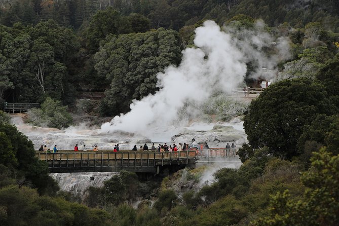 Day Tour Hobbiton + Rotorua from Auckland in Luxury Minibus - Who This Tour Fits Best (and Who Might Feel Rushed)